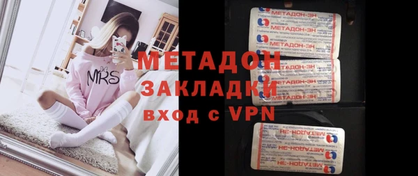 прущие грибы Абинск