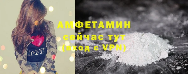 прущие грибы Абинск