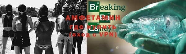прущие грибы Абинск