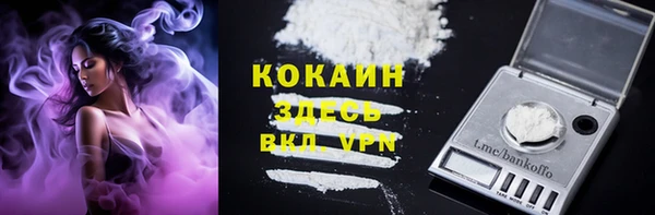 ГАЛЛЮЦИНОГЕННЫЕ ГРИБЫ Сатка