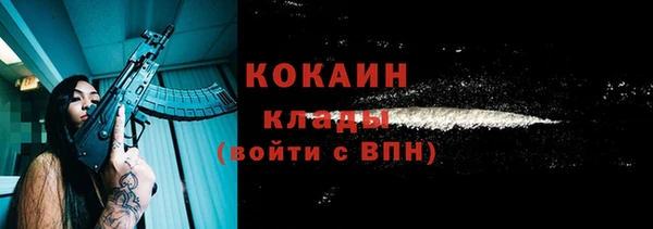 прущие грибы Абинск