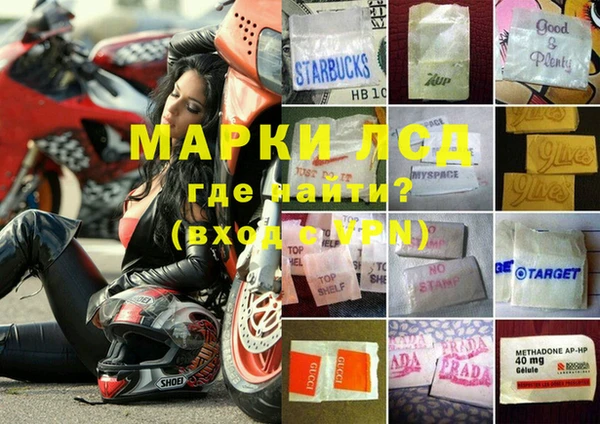 прущие грибы Абинск