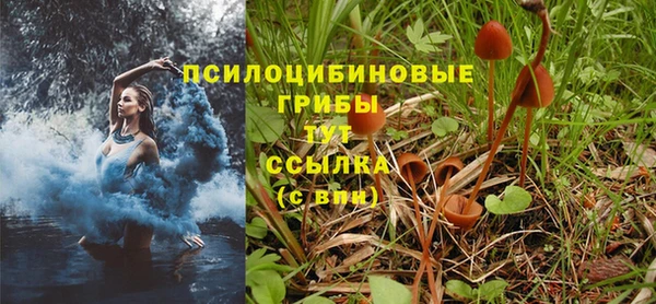 spice Абдулино