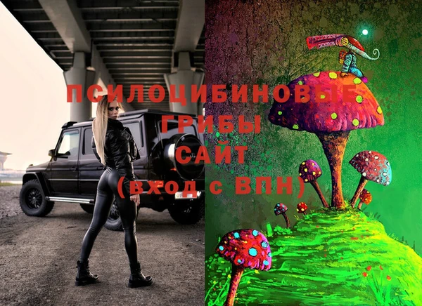 прущие грибы Абинск