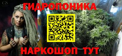 скорость Обь