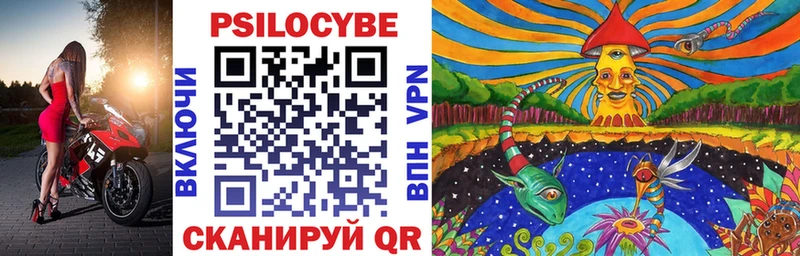 KRAKEN зеркало  Узловая  Галлюциногенные грибы GOLDEN TEACHER 