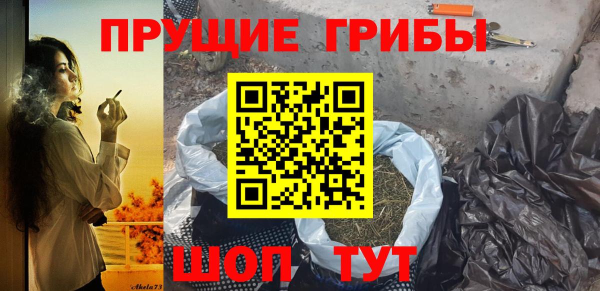 Псилоцибиновые грибы GOLDEN TEACHER Узловая