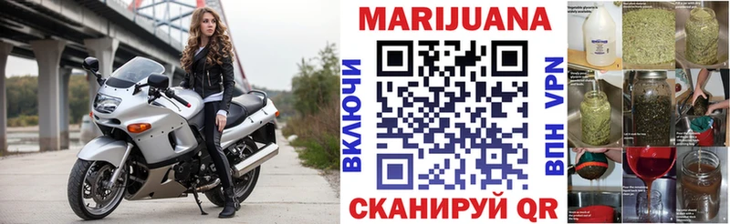 МАРИХУАНА SATIVA & INDICA  Узловая 