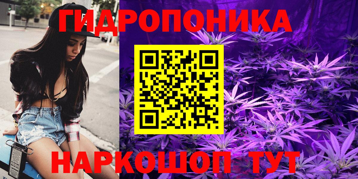 Узловая  Канабис семена  Канабис конопля  Канабис семена  Вход с VPN 